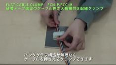 FCN